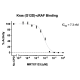 Kras G12D– cRAF Binding Assay Kit 